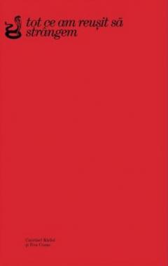 Coperta cărții Tot ce am reusit sa strangem