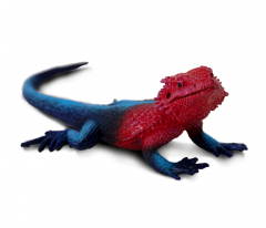 Figurina - Mwanza Flat-Headed Rock Agama