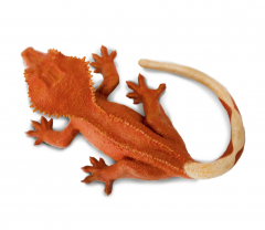 Figurina - Crested Gecko