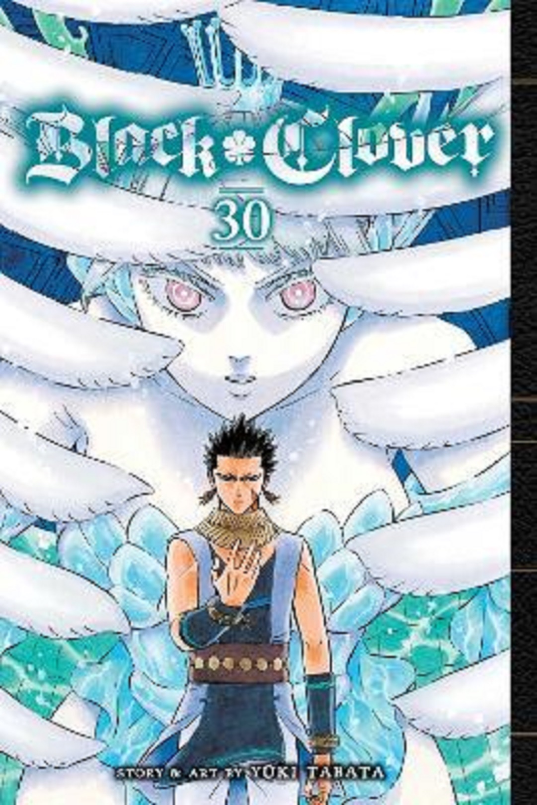 Black Clover Volume 30 Yuki Tabata