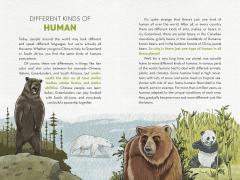 Unstoppable Us - Volume 1: How Humans Took Over the World