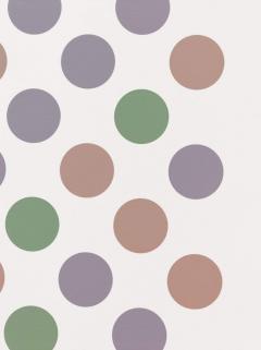 Coperta cărții Bridget Riley: Recent Paintings 2014-2017