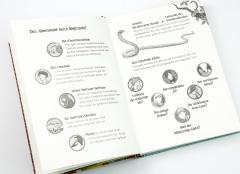 Die Schule der magischen Tiere - Band 1