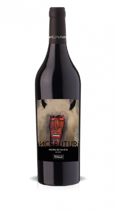 Vin rosu - Inceputuri - Negru de Panciu, demisec, 2020