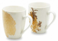 Set 2 cani - White with Gold Decoration