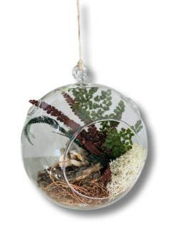 Terariu glob mediu plante prezervate