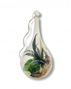 Terariu para mare plante prezervate