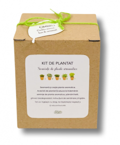 Kit de plantat seminte cimbru