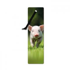 Semn de carte 3D - Piglet