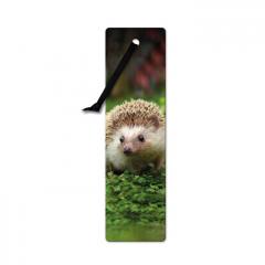 Semn de carte 3D - Hedgehog