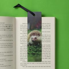 Semn de carte 3D - Hedgehog