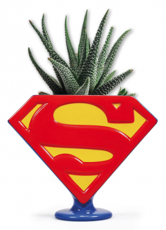 Ghiveci - Shaped - Superman - Logo