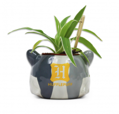 Ghiveci - Shaped - Harry Potter - Hufflepuff