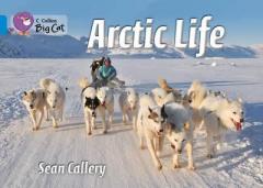 Arctic Life