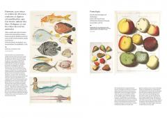 The Art of the Illustrated Book