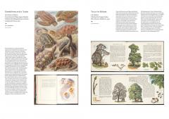 The Art of the Illustrated Book