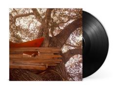 Waiting to Spill - Vinyl