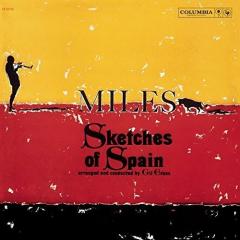 Miles Davis - Vinyl