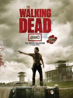 Poster cu 2 fete - The Walking Dead - mai multe modele