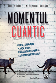 Momentul cuantic