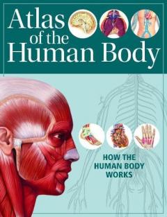 Atlas of the Human Body