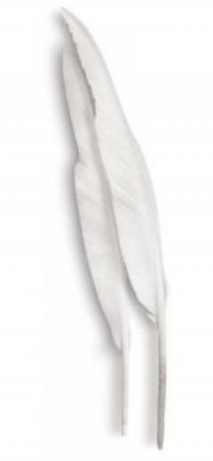 Set 2 pene de gasca pentru caligrafie si desen - R&L