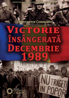 Victorie insangerata. Decembrie 1989