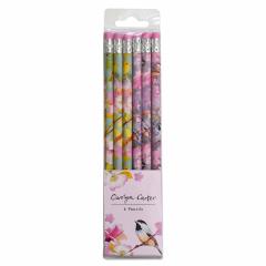 Set 6 creioane - Watercolour Design