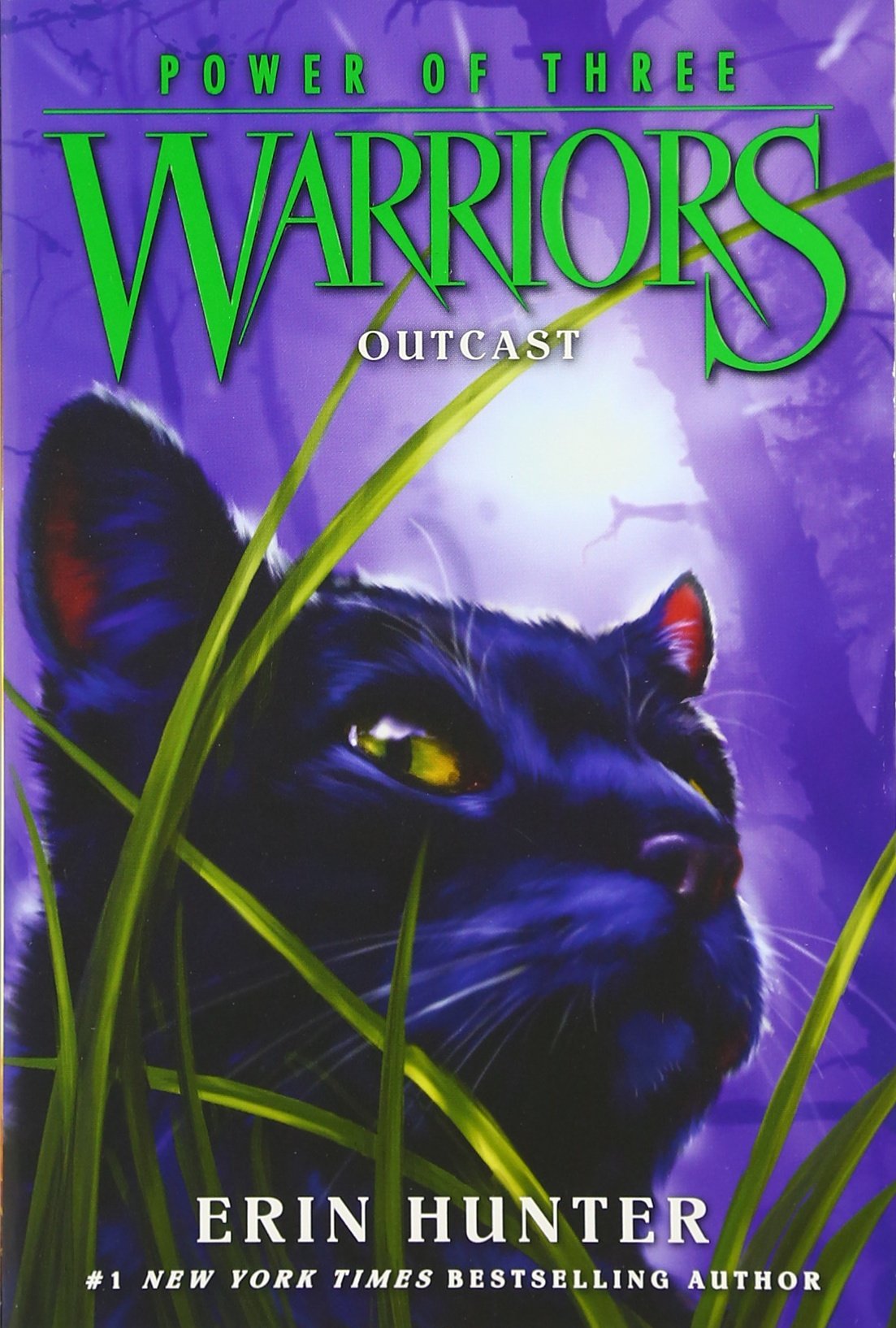 Warriors - Power of Three: Outcast