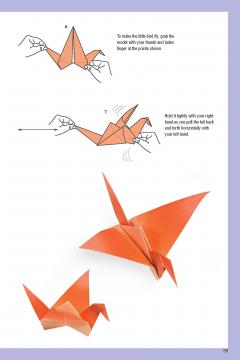 Origami Made Easy Kit