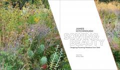 Sowing Beauty