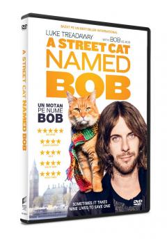Un motan pe nume Bob / A Street Cat Named Bob