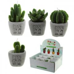 Lumanare - Cactus - mai multe modele