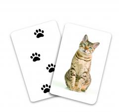 Carti de joc Montessori - Urme de animale