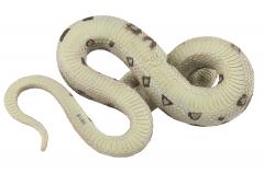 Figurina - Boa Constrictor