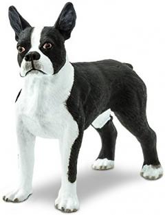 Figurina - Caine Boston Terrier