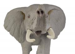 Figurina - Elefantul African