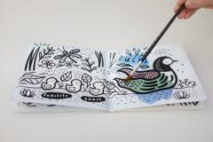 Colour Me: Who's in the Pond?