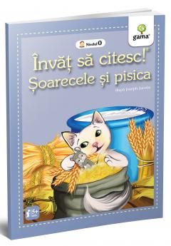 Soarecele si pisica