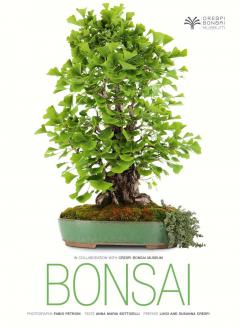 Bonsai