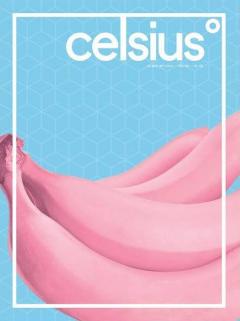 Revista Celsius Nr. 2