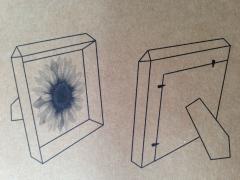 Rama foto - Kikkerland