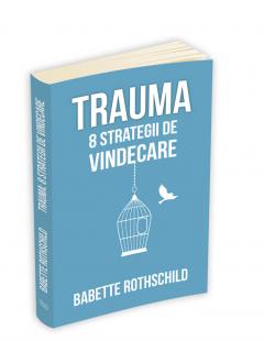 Trauma: 8 strategii de vindecare Babette Rothschild