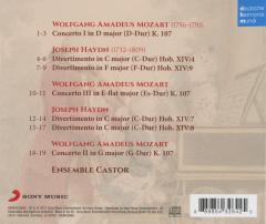 Mozart & Haydn - Concertos & Divertimentos