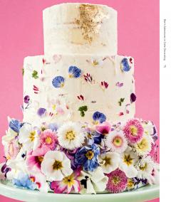 Bee's Adventures in Cake Decorating