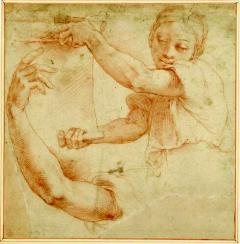 Raphael: The Drawing