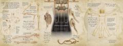 Leonardo Da Vinci's Remarkable Machines David Hawcock