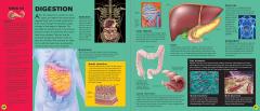 The Ultimate Interactive Guide to the Human Body