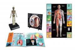 The Ultimate Interactive Guide to the Human Body