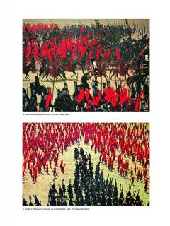 Ninja, the Secret History of Ninjutsu